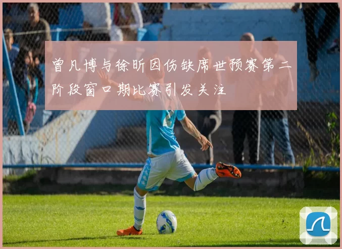 曾凡博与徐昕因伤缺席世预赛第二阶段窗口期比赛引发关注