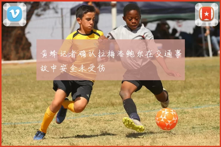 黄蜂记者确认拉梅洛鲍尔在交通事故中安全未受伤
